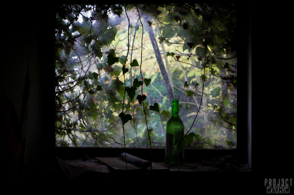 Dr X Manor House - Wine by the window