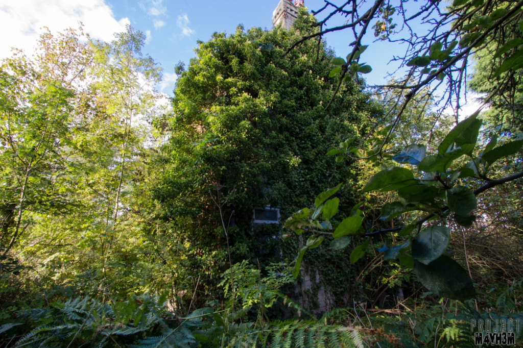 Overgrown House Doncaster