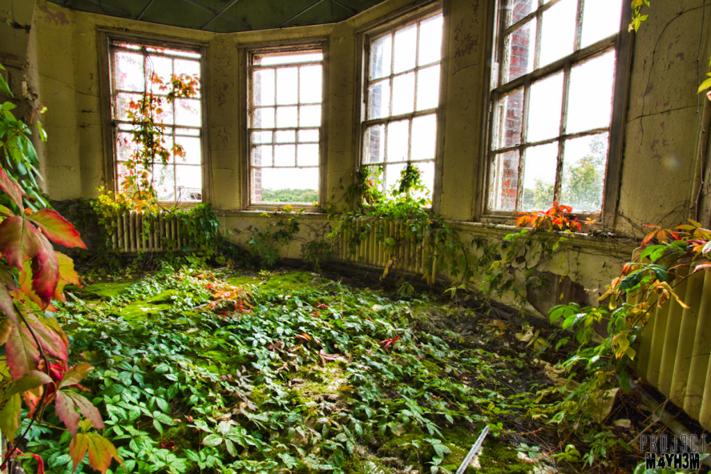 Whittingham Lunatic Asylum - Bay window garden