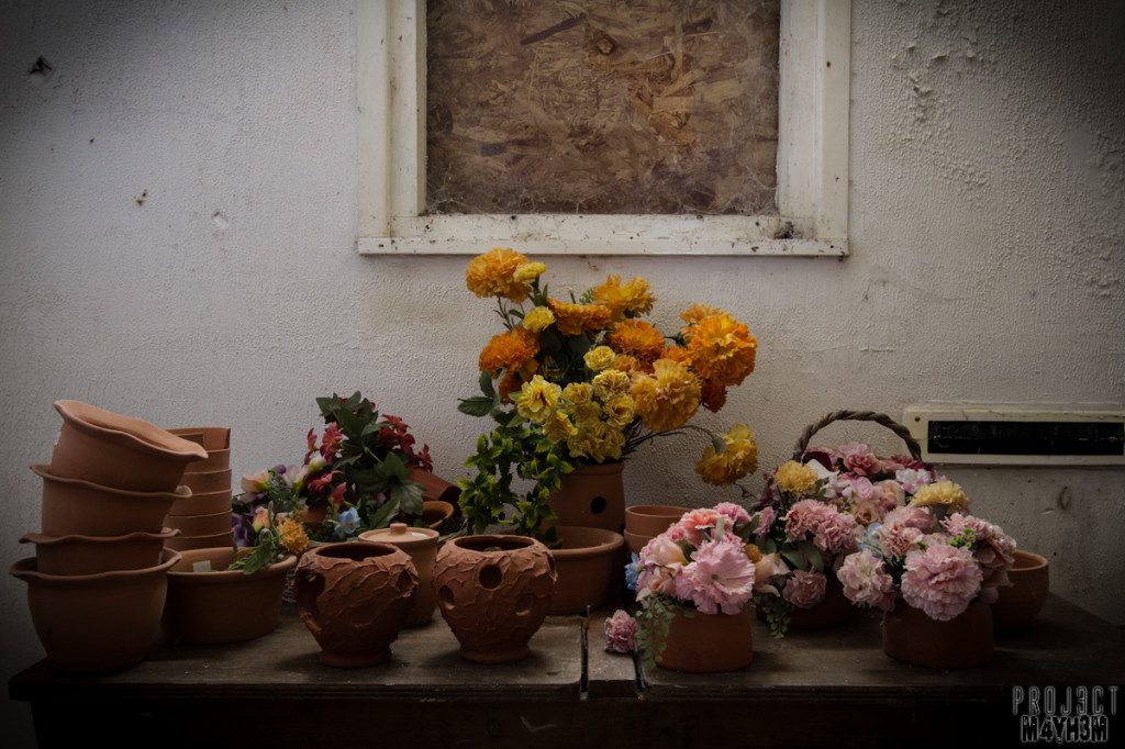 Holdinings Country Pottery - Flower arranging