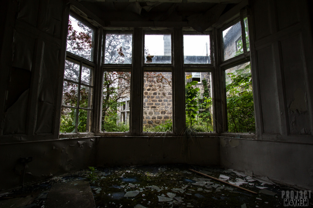 RCH Asylum Bay Window