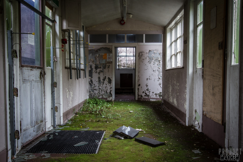 The Unseen Asylum - Green Carpet