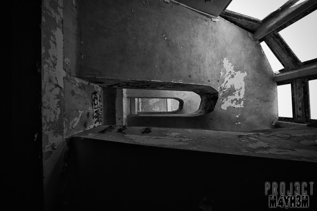 Le Sanatorium d’Aincourt, aka Fleurs de Ruine - Staircase