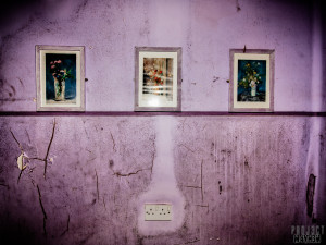 Aston Hall - Pictures on a purple wall