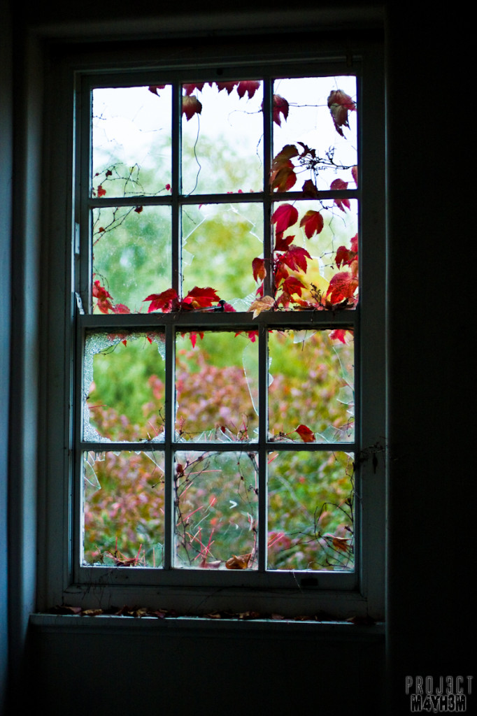 Aston Hall - Window
