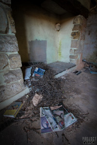 Dr X Manor House - Face in the fireplace