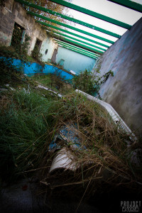 Dr X Manor House - Dr X Manor House - Fancy a dip?