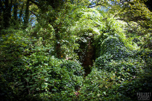 Abandoned Newlands Estate Wakefield