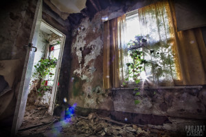 Overgrown House Doncaster