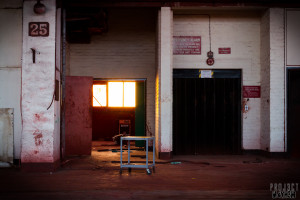 Pilkington Grass Factory - Loved the light!