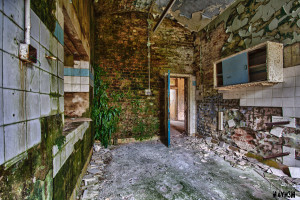 Wall of Weeds - Lincolnshire County Pauper Lunatic Asylum