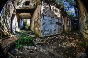 Overgrown - Lincolnshire County Pauper Lunatic Asylum