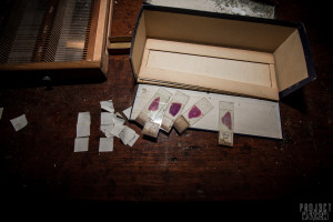 West Park Asylum Asylum Morgue, Mortuary and Histopathology Department - Blood Slides
