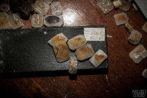 West ParkAsylum Asylum Morgue, Mortuary and Histopathology Department - Brain Blocks