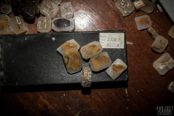 West ParkAsylum Asylum Morgue, Mortuary and Histopathology Department – Brain Blocks West ParkAsylum Asylum Morgue, Mortuary and Histopathology Department - Brain Blocks