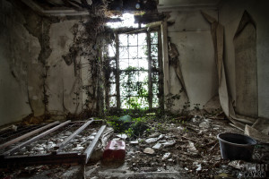 Red Dress Manor