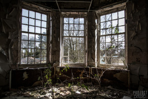Severalls Lunatic Asylum - Bay Window