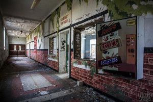 Severalls Lunatic Asylum - Squirrels Boutique