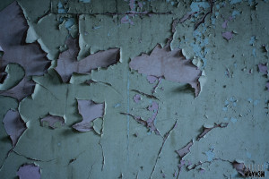 St Johns The Lincolnshire County Pauper Lunatic Asylum - Texture