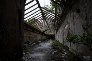 St Johns The Lincolnshire County Pauper Lunatic Asylum