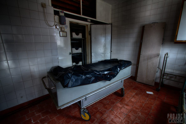 Cuddles Morgue Cuddles Morgue