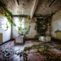 St Georges Asylum aka Northumberland County Pauper Lunatic Asylum aka Ivy Hospital - The Ivy Bathroom