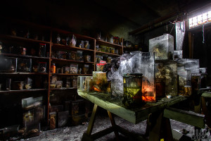 The Horror Labs The Basement of Jars