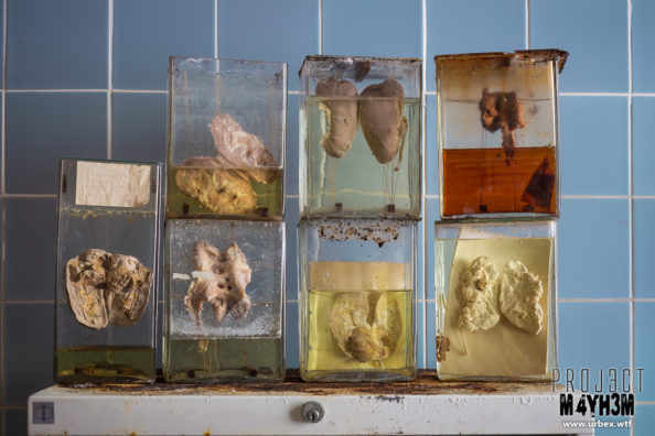 Dr Anna’s House and Surgery – The Body Parts Dr Anna’s House and Surgery – The Body Parts