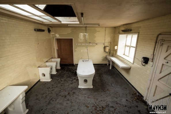 Hawks Morgue – Porcelain Slab Hawks Morgue - Porcelain Slab