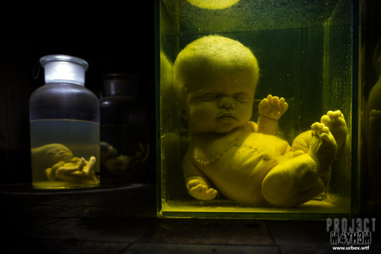 The Little Miracles